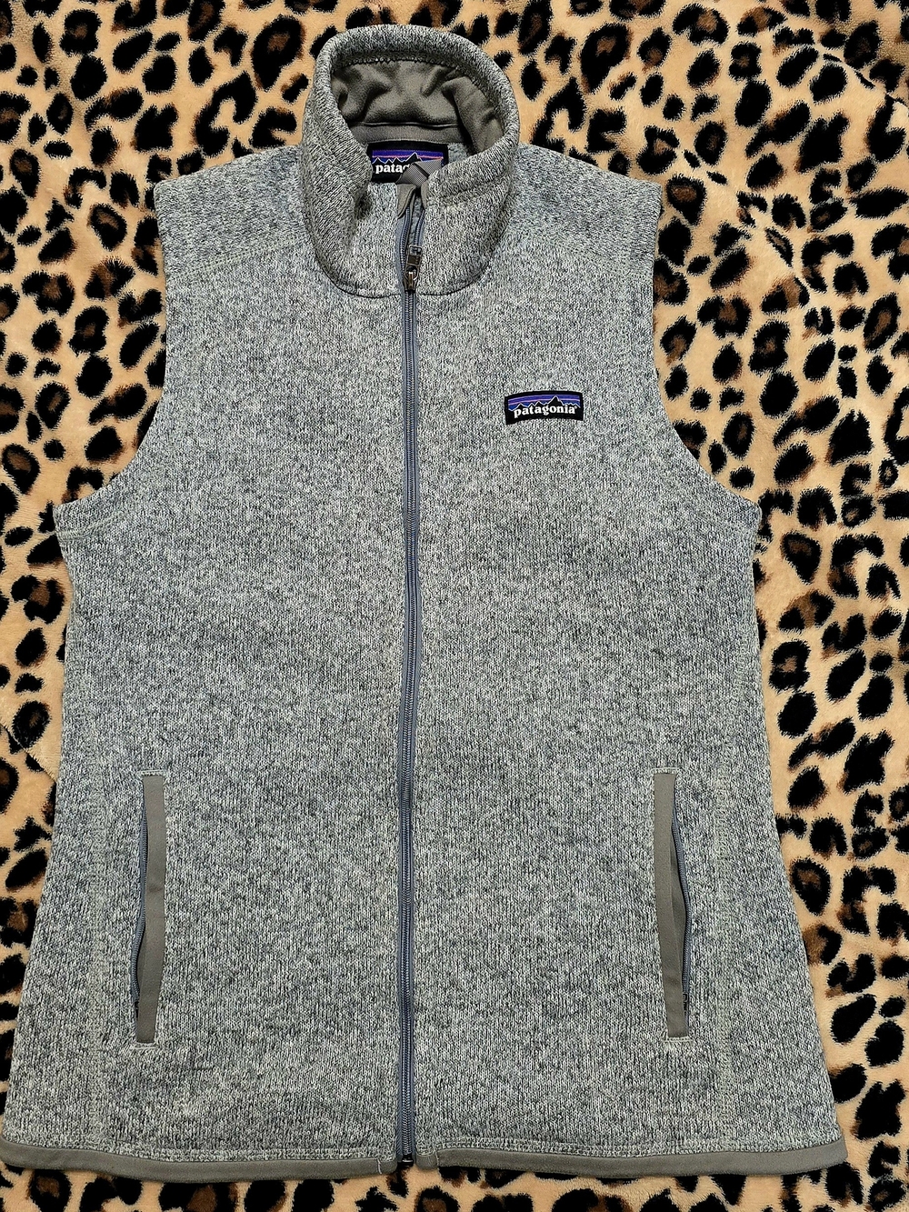 Patagonia Gray Heather Full-Zip Womens Fleece Vest